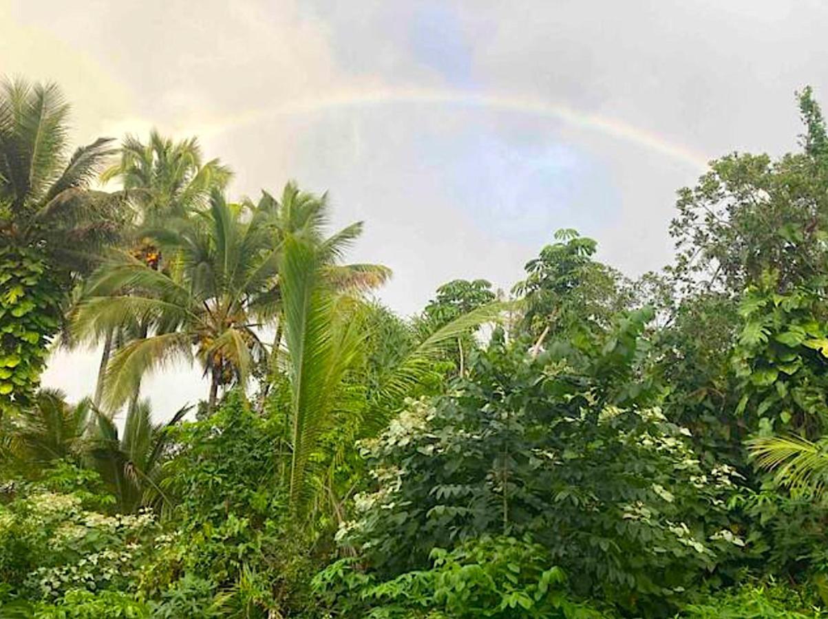 Seaside House And Aloha Bungalow Pahoa Ngoại thất bức ảnh