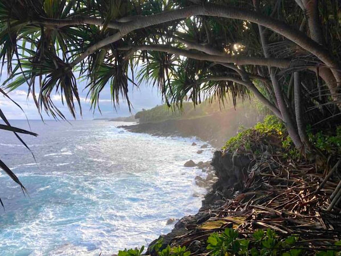 Seaside House And Aloha Bungalow Pahoa Ngoại thất bức ảnh