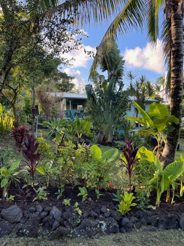 Seaside House And Aloha Bungalow Pahoa Ngoại thất bức ảnh