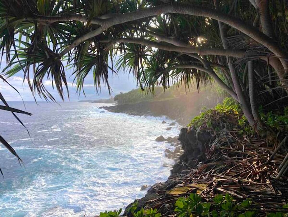 Seaside House And Aloha Bungalow Pahoa Ngoại thất bức ảnh